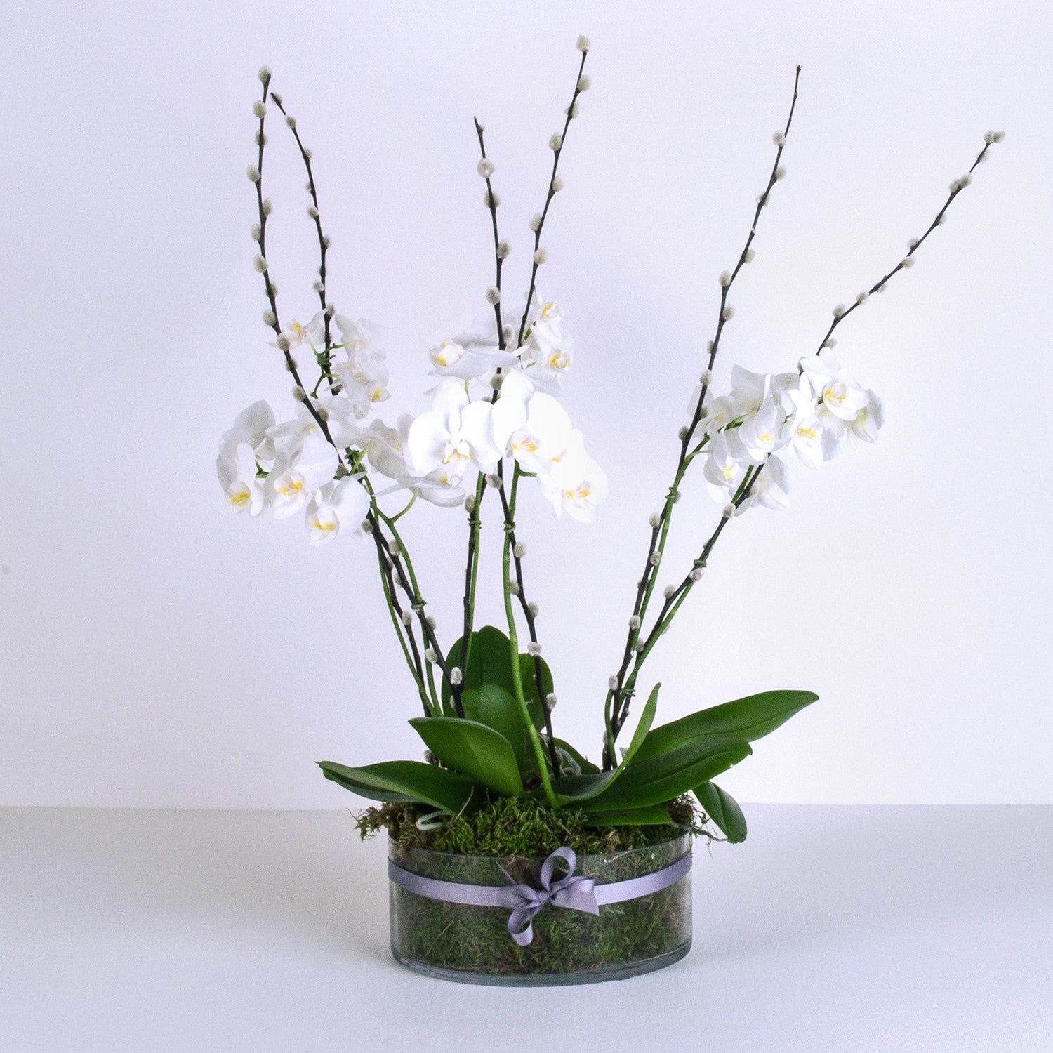 orchid plant pots uk Opulent Orchid Planter – Pulteney Bridge Flowers