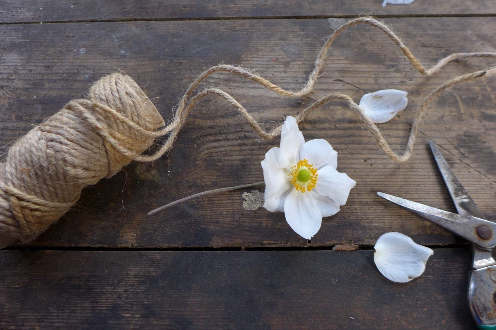 Dried Bouquets